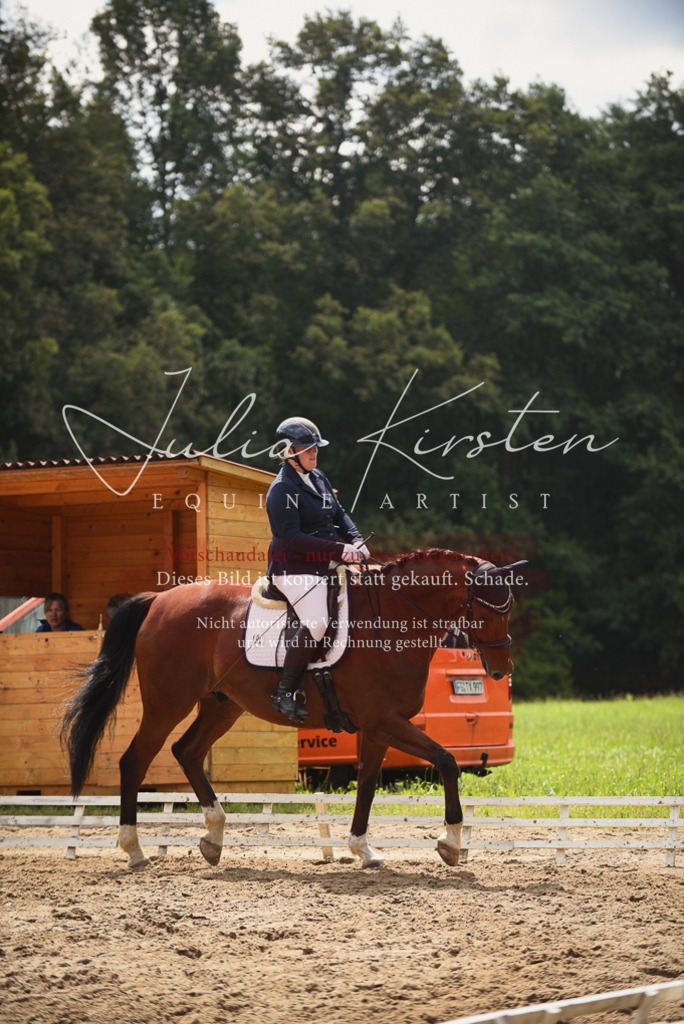 DSC_0811 | Pferde- und Turnierfotografie in Westsachsen. Pferdeportraits, Auftragszeichnungen und intuitive Kunst.