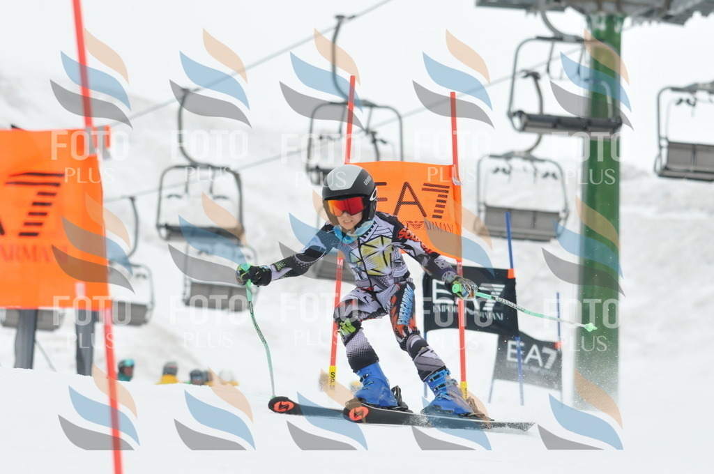 DSC_8737 | holidayphoto