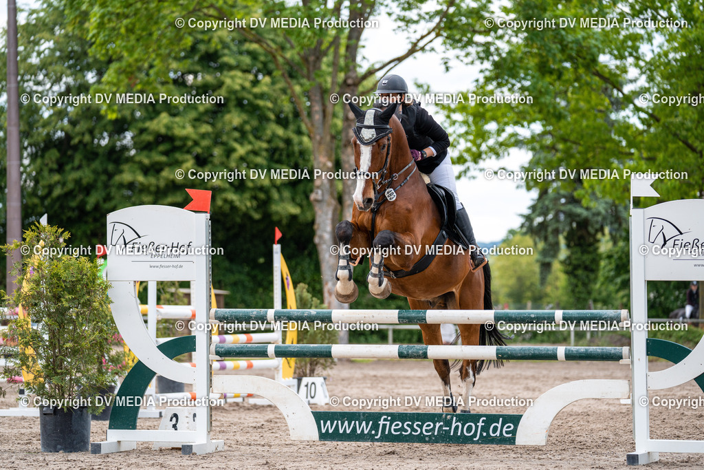 Eppelheim Tag 2-555 | dv-media-shop - Realisiert mit Pictrs.com