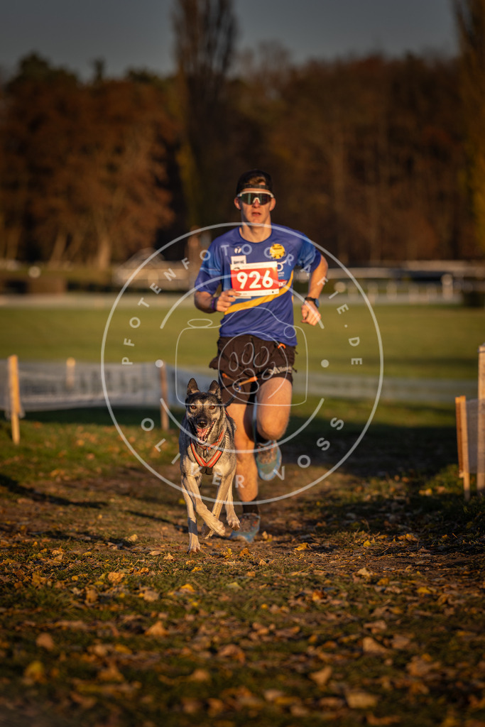 CaniXpix_DV3A5043 | Hundefotografie, Tierfotograf, Pfotenfotografie, Fotoshooting Hund, Hunde Portrait, Hundesport, Hundeportraits, Heideshooting, Hunde, Sportfotograf, Hundefotograf, Turnierhundsport, THS,  - Realisiert mit Pictrs.com