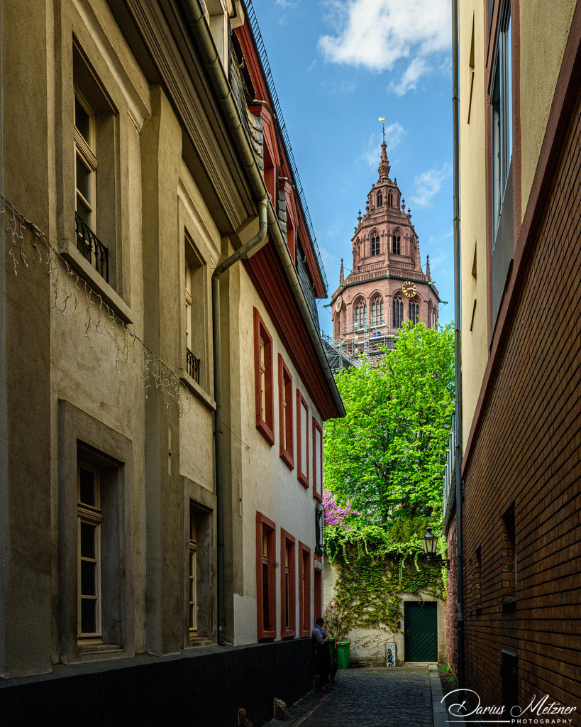 _DSC7929 | Fotografien, Fotos und Bilder aus Mainz, Frankfurt, Wiesbaden und anderen Orten auf der Welt - Fotografiert von Darius Metzner