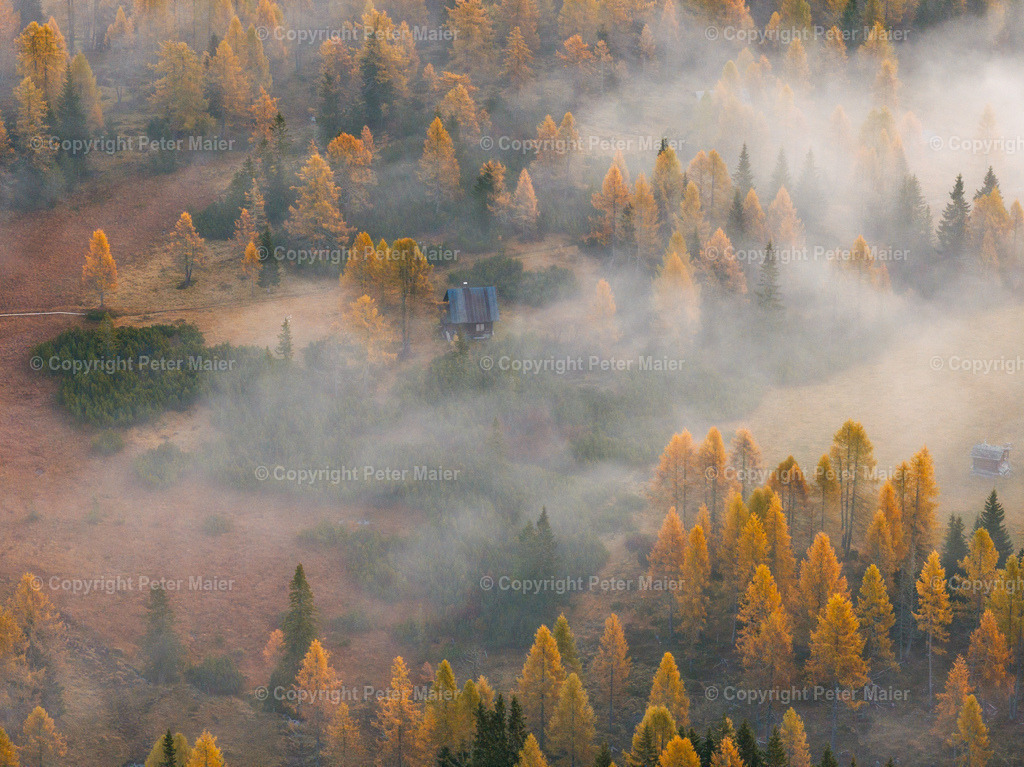 Lesachtal_Herbst-54 | default