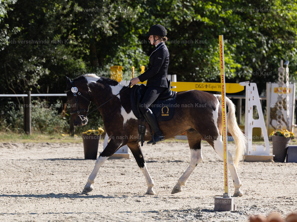 WA_Trail_115_KerstinBernhardt-5 | working equitationturnier fotograf videograf stoibphotography marixx film working equitation deutschland reitsport turnierfotografie eventfotografie equestrian events