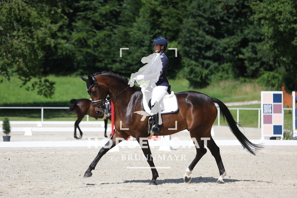 0P6A5196 | Willkommen bei Brunnmayr - Design & Fotografie – Ihrem Spezialisten für Reitturniere und Pferdeveranstaltungen in Oberösterreich, Salzburg und Bayern! Seit über 17 Jahren sind wir leidenschaftlich dabei.