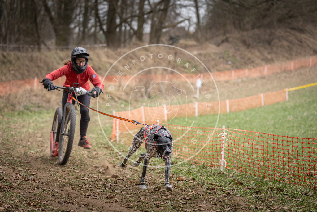 Pfotenfotografie_DV3A6696 | Hundefotografie, Tierfotograf, Pfotenfotografie, Fotoshooting Hund, Hunde Portrait, Hundesport, Hundeportraits, Heideshooting, Hunde, Sportfotograf, Hundefotograf, Turnierhundsport, THS,  - Realisiert mit Pictrs.com