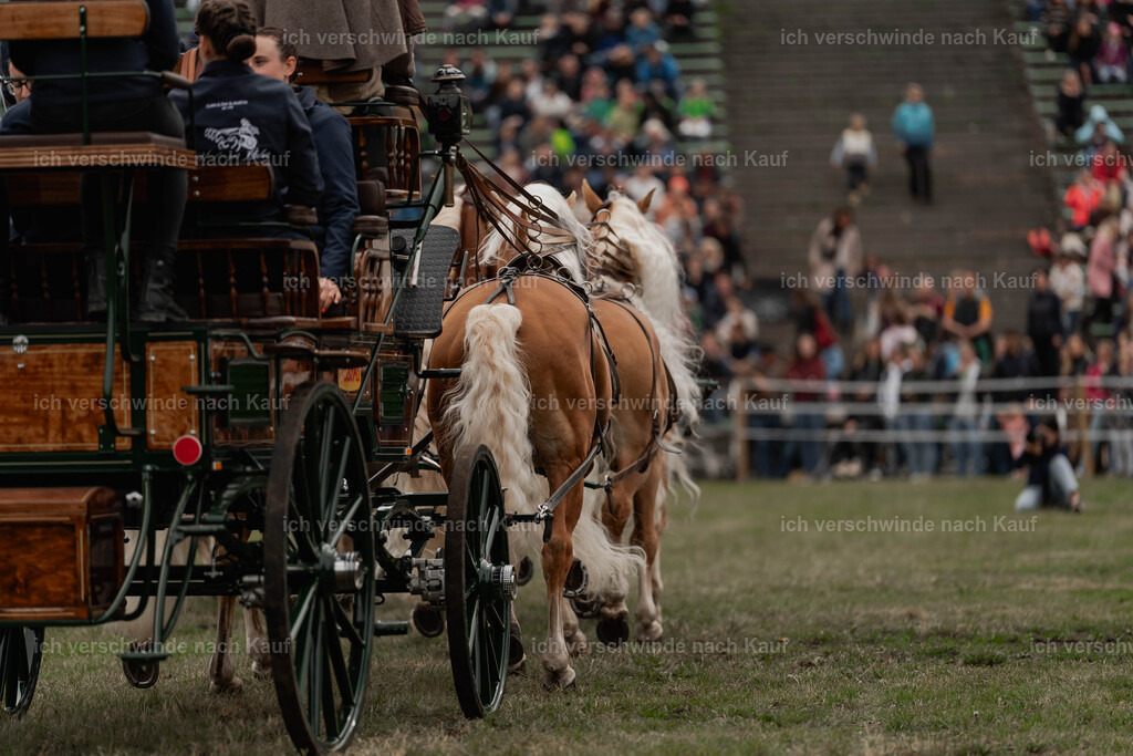 Showprogramm-168 | working equitationturnier fotograf videograf stoibphotography marixx film working equitation deutschland reitsport turnierfotografie eventfotografie equestrian events