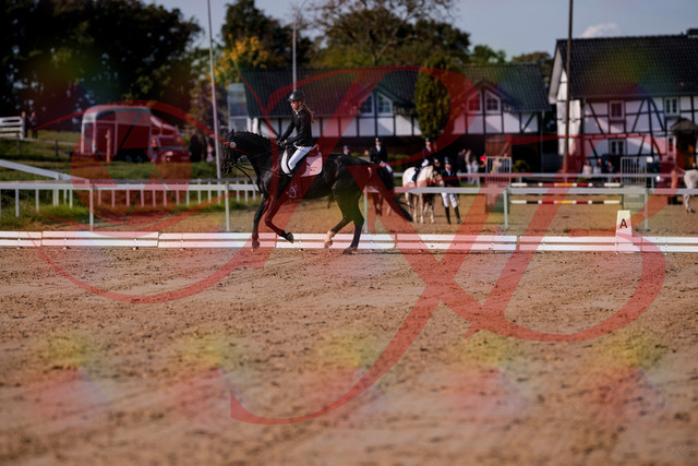 2026_10_03_Siefer-Hof_115609_Z81_96251767 | Professionelle Reitsport-, Turnier- und Eventfotografie von Robert Broda. Galerien mit ausgewählten und bearbeiteten Bildern direkt online ansehen und bestellen.
