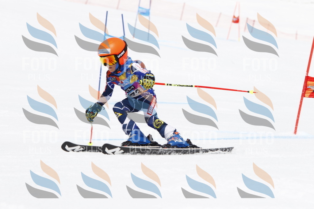 _U3G6841 | holidayphoto