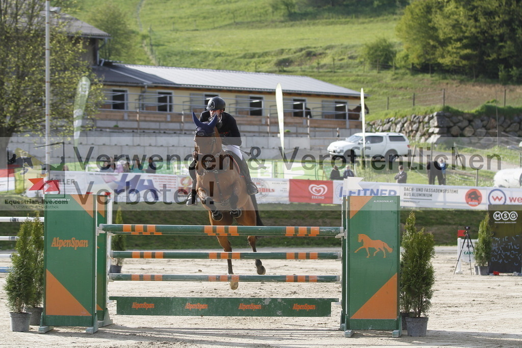 _MG_1177 | equestrian-live-com