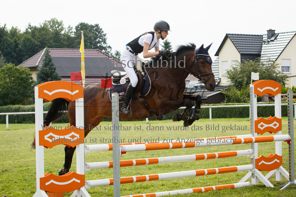 IMG_2803 | P. Berger Fotografie - Realisiert mit Pictrs.com