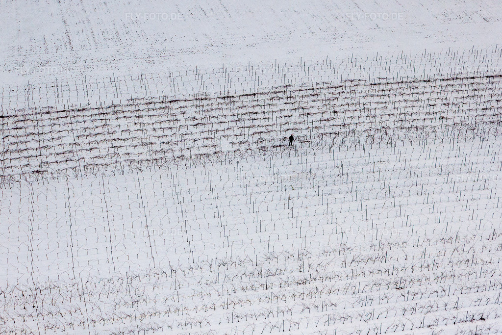 Luftbild: Winzer beim Rebenschnitt in Winterlich schneebedeckter Weinbergs- Landschaft der Winzer- Gebiete im Ortsteil Kleinsteinfeld in Niederotterbach im Bundesland Rheinland-Pfalz in Deutschland. Foto: IMG_23660.jpg vom 16.01.2010 durch Werner Riehm/FLY-FOTO.de