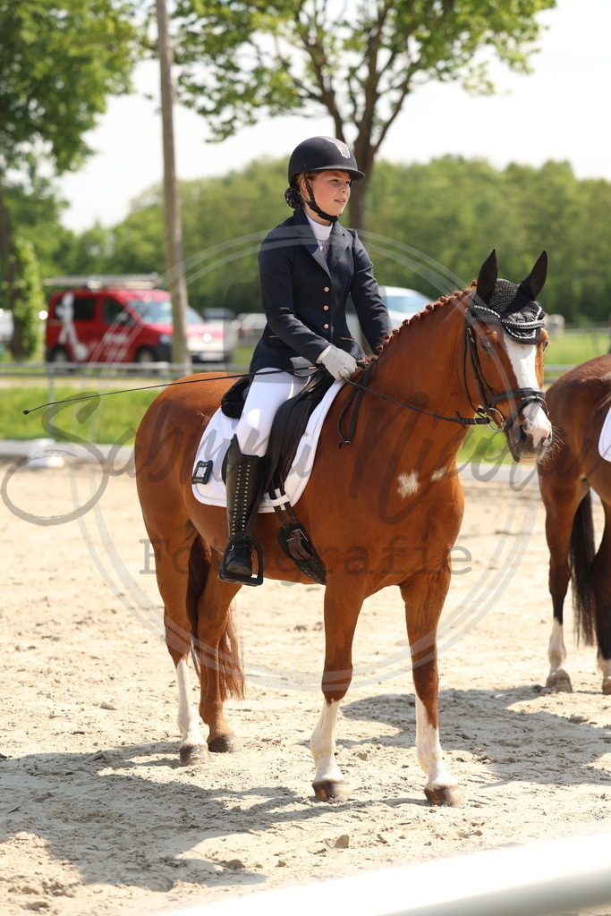 994A7341 | sabrinanicolaifotografie - Realisiert mit Pictrs.com