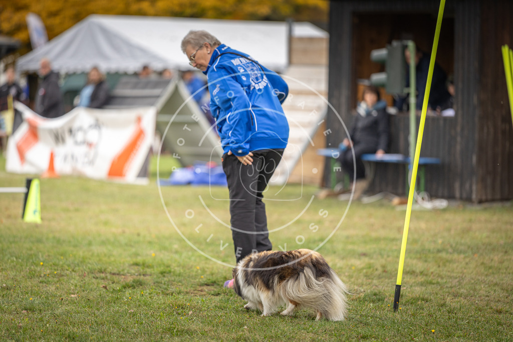 Pfotenfotografie_DV3A5088 | Hundefotografie, Tierfotograf, Pfotenfotografie, Fotoshooting Hund, Hunde Portrait, Hundesport, Hundeportraits, Heideshooting, Hunde, Sportfotograf, Hundefotograf, Turnierhundsport, THS,  - Realisiert mit Pictrs.com