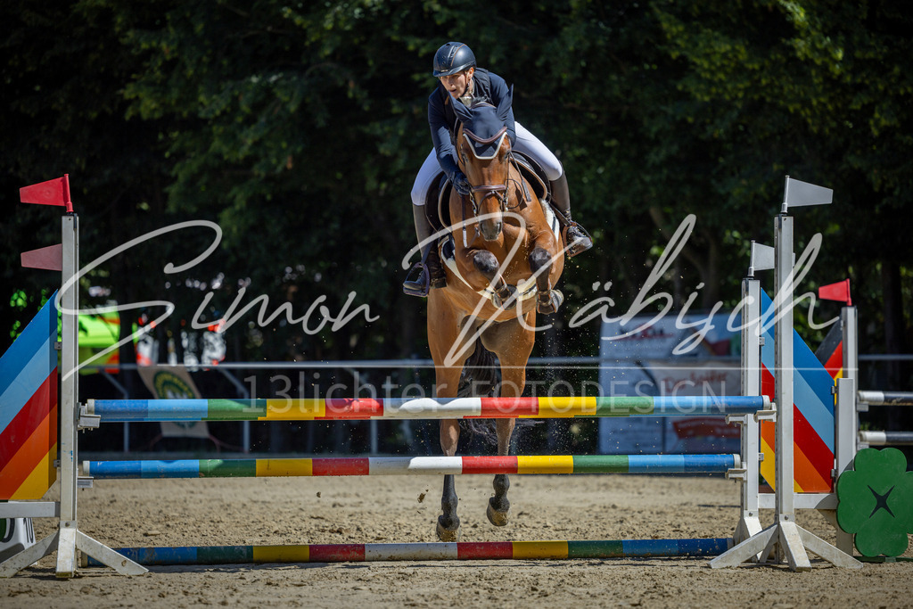 20260704-_3LI7830 | Tierfotografie Pferde, Hunde, Katzen, Haustiere.
Turnierfotografie Reitturniere, Reiten, Springreiten, Dressur in Hanau, dem Main-Kinzig-Kreis und dem Rhein-Main- Gebiet um Frankfurt