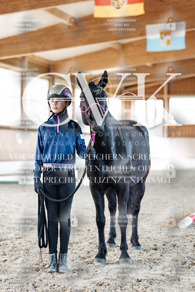 CK905989 | Turnierfotografie Pferdefotografie Trier Rheinland-Pfalz Pferdesport Reitsport Tierfotografie Sportfotografie Pferdevideo Pferdevideografie Equestrianvideography equestrianphotography  - Realisiert mit Pictrs.com
