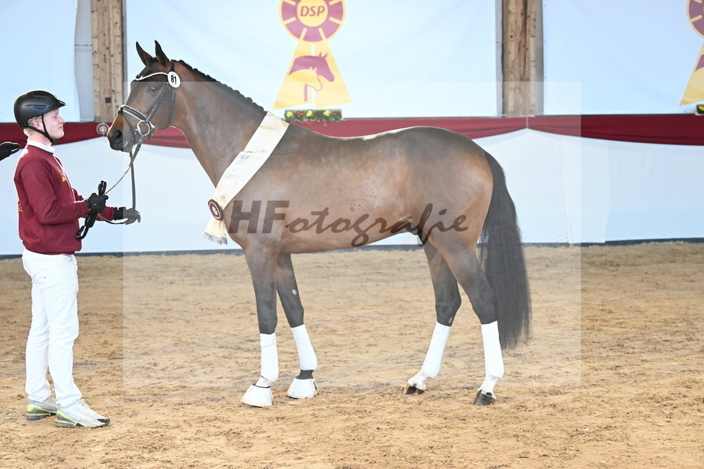 Kat.-Nr. 81 v. Vivino_Freisel_2242929 | hf-fotografie - Realisiert mit Pictrs.com
