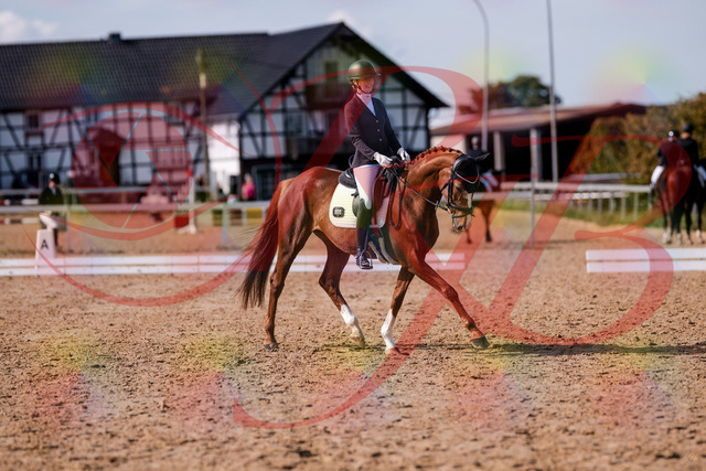 2026_10_03_Siefer-Hof_132726_Z81_81680309 | Professionelle Reitsport-, Turnier- und Eventfotografie von Robert Broda. Galerien mit ausgewählten und bearbeiteten Bildern direkt online ansehen und bestellen.