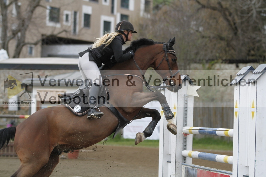 _MG_6506 | equestrian-live-com