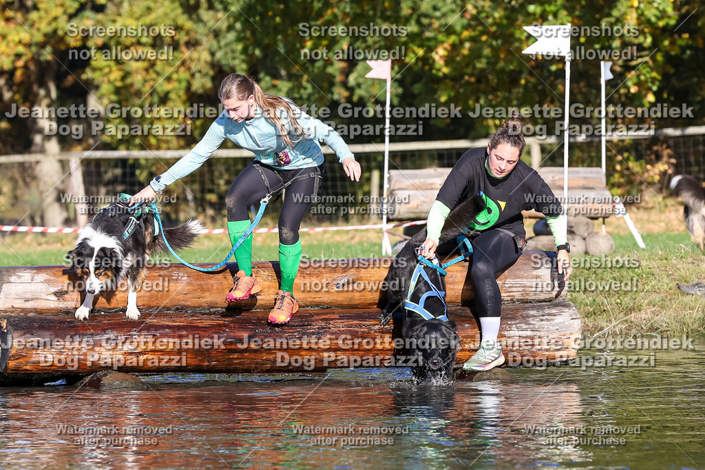 Dog Paparazzi - Strongdog 10-25-8841 | Dog Paparazzi Jeanette Grottendiek Fotografie & Videografie - Realisiert mit Pictrs.com