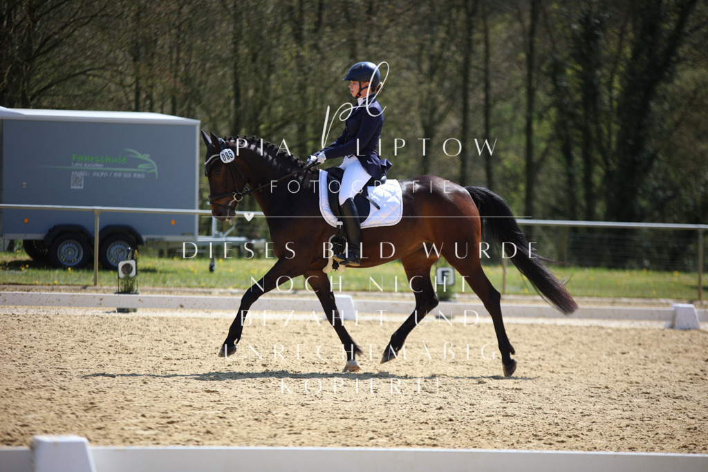 IMGT7097 | pl-fotografie