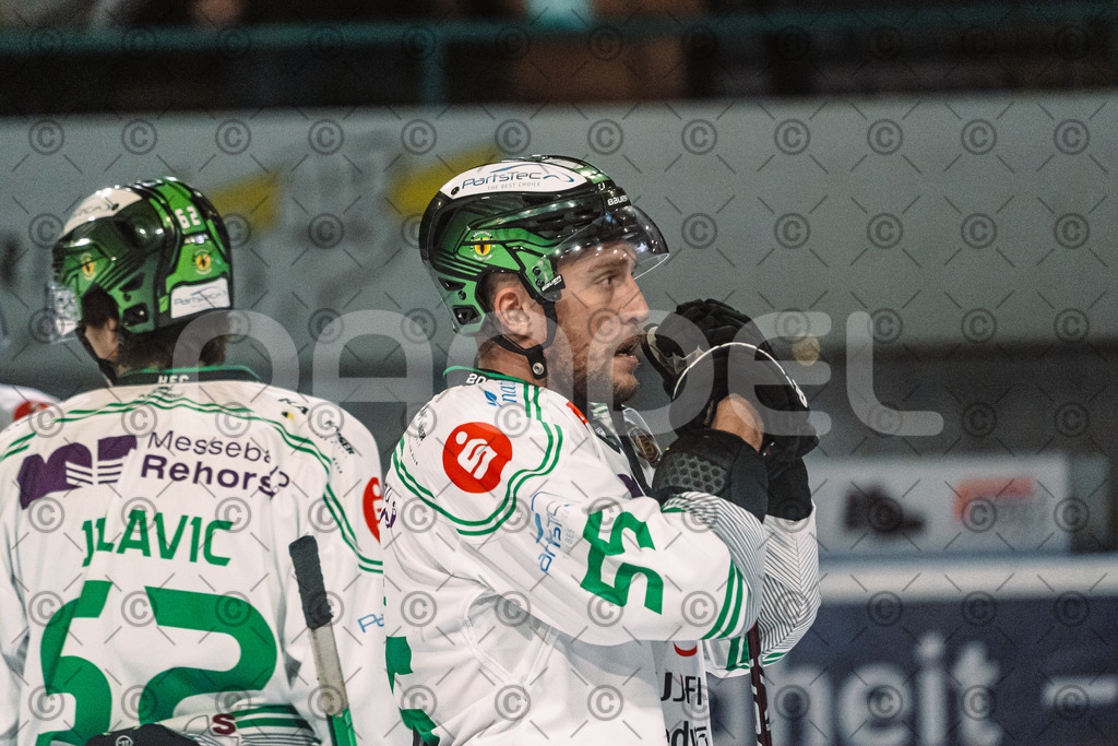 Erding_vs_Alligators_02_01_2026-81 | Höchstadt Alligators Fotogalerie: Eishockey-Action aus Franken. Professionelle Spielfotos, Portraits & Stadionbilder zum Download. Jetzt entdecken! - Realisiert mit Pictrs.com