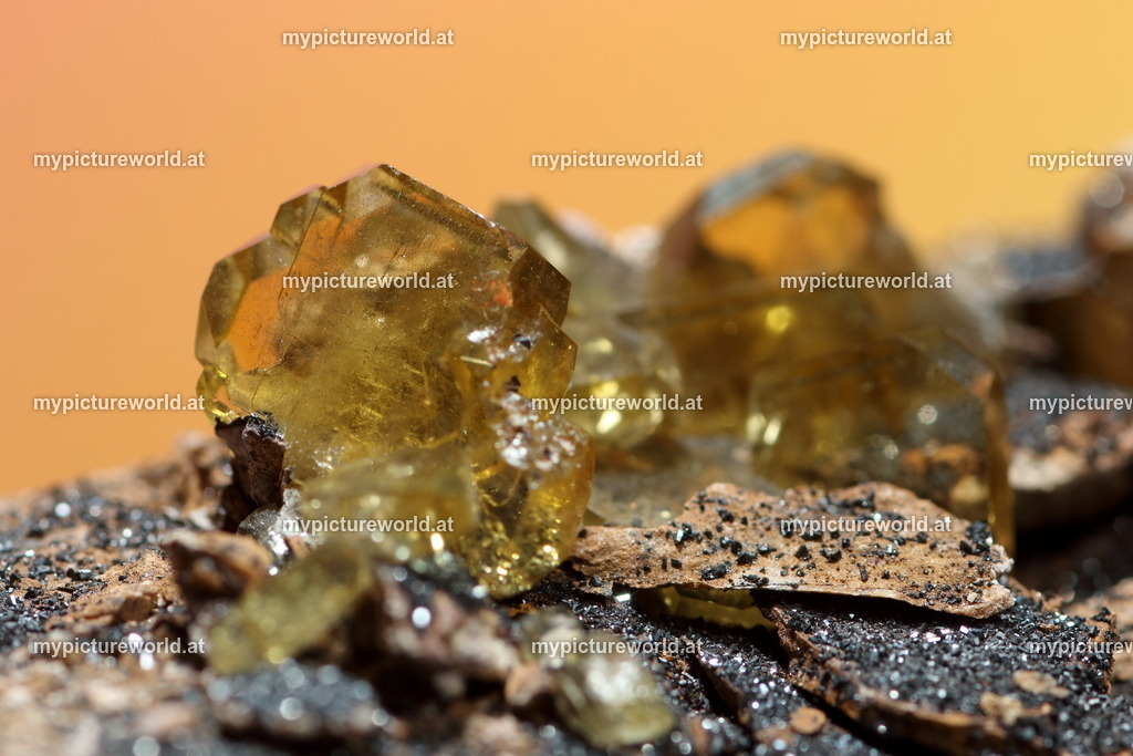 Baryt-002 | Das Bilderarchiv über Tiere, Planzen und Landschaften. In der Bilddatenbank finden Sie ein große Auswahl an hochwertigen Bilder für Ihre Werbung - Realisiert mit Pictrs.com