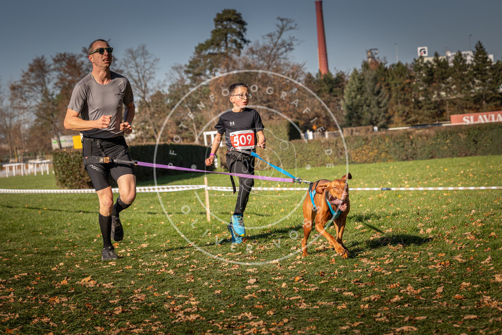 CaniXpix_0L8A6813 | Hundefotografie, Tierfotograf, Pfotenfotografie, Fotoshooting Hund, Hunde Portrait, Hundesport, Hundeportraits, Heideshooting, Hunde, Sportfotograf, Hundefotograf, Turnierhundsport, THS,  - Realisiert mit Pictrs.com