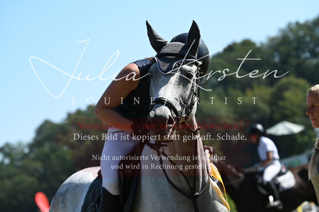 DSC_6482 | Pferde- und Turnierfotografie in Westsachsen. Pferdeportraits, Auftragszeichnungen und intuitive Kunst.