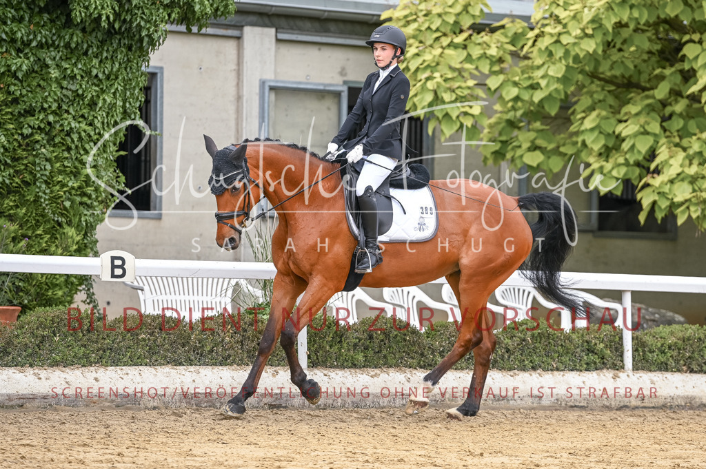 Schugtsche-Aluta25-43.EDressur -21 | Schugtsche Fotografie - Realisiert mit Pictrs.com