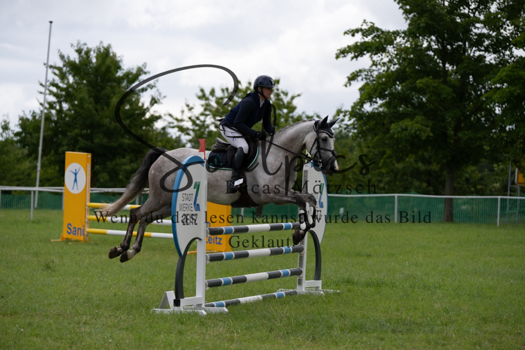 A7V04026 | Pferdefotograf