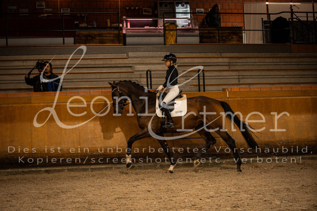 1Reiten00039 | Leoni Ertmer Photography - Realisiert mit Pictrs.com
