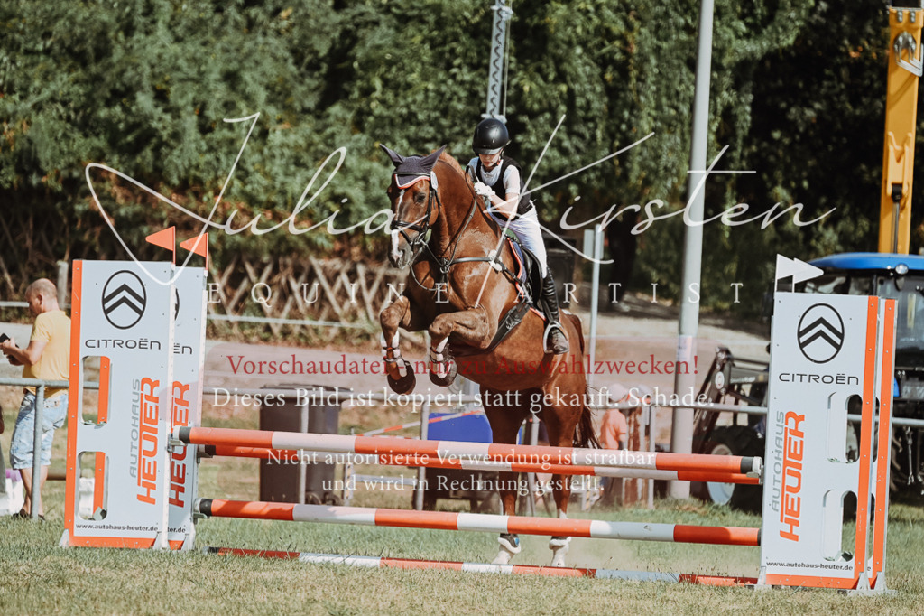 DSC_9465 | Pferde- und Turnierfotografie in Westsachsen. Pferdeportraits, Auftragszeichnungen und intuitive Kunst.