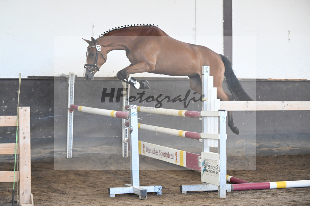 Kat-Nr. 10 Emmi Gertrud v. Vingino_Rameder_19250069 | hf-fotografie - Realizzato con Pictrs.com