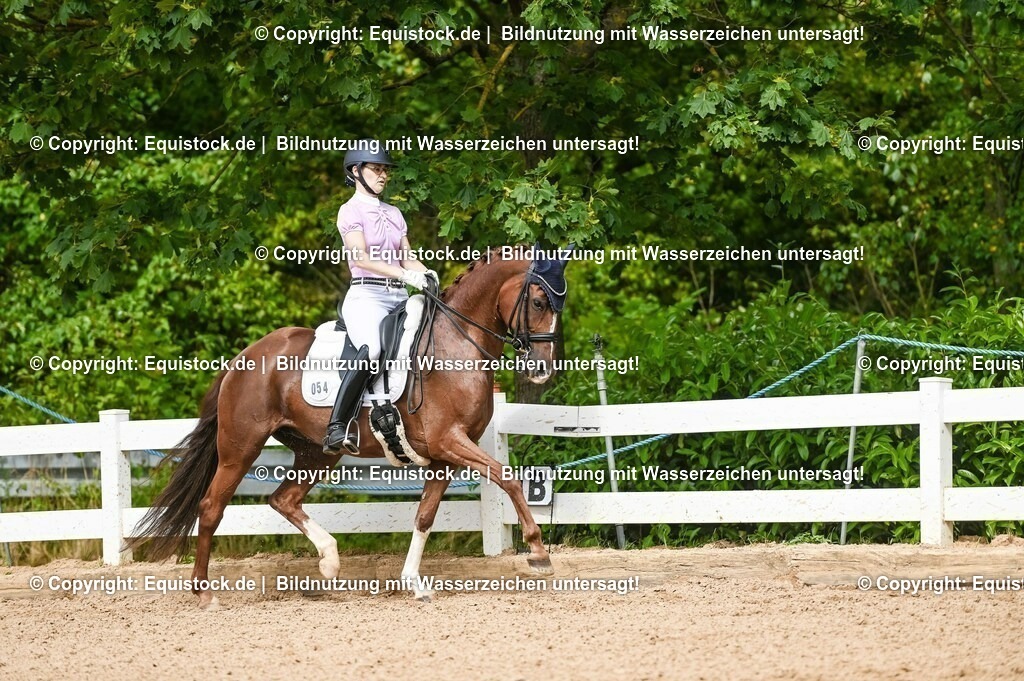 20230716_01_Dressurprüfung Kl.M_0381 | equistock