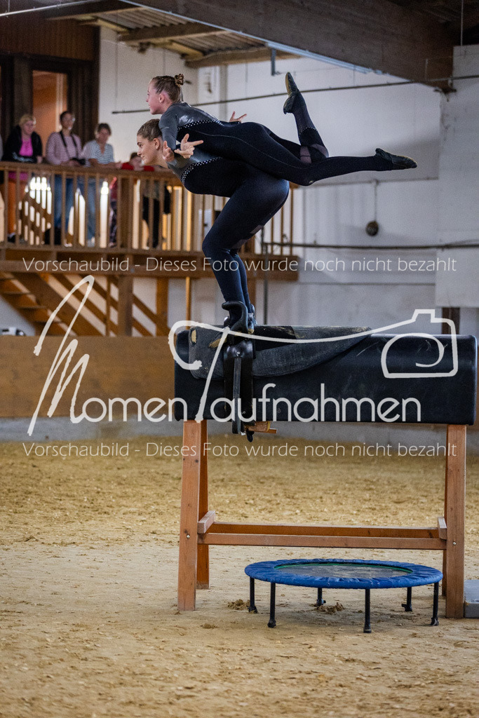 Holzpferd-032 | MomenTaufnahmen Pferdesportfotos