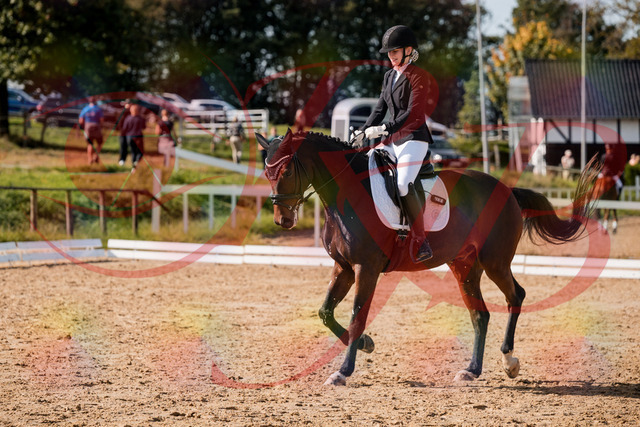 2026_10_03_Siefer-Hof_125544_Z63_62888488 | Professionelle Reitsport-, Turnier- und Eventfotografie von Robert Broda. Galerien mit ausgewählten und bearbeiteten Bildern direkt online ansehen und bestellen.
