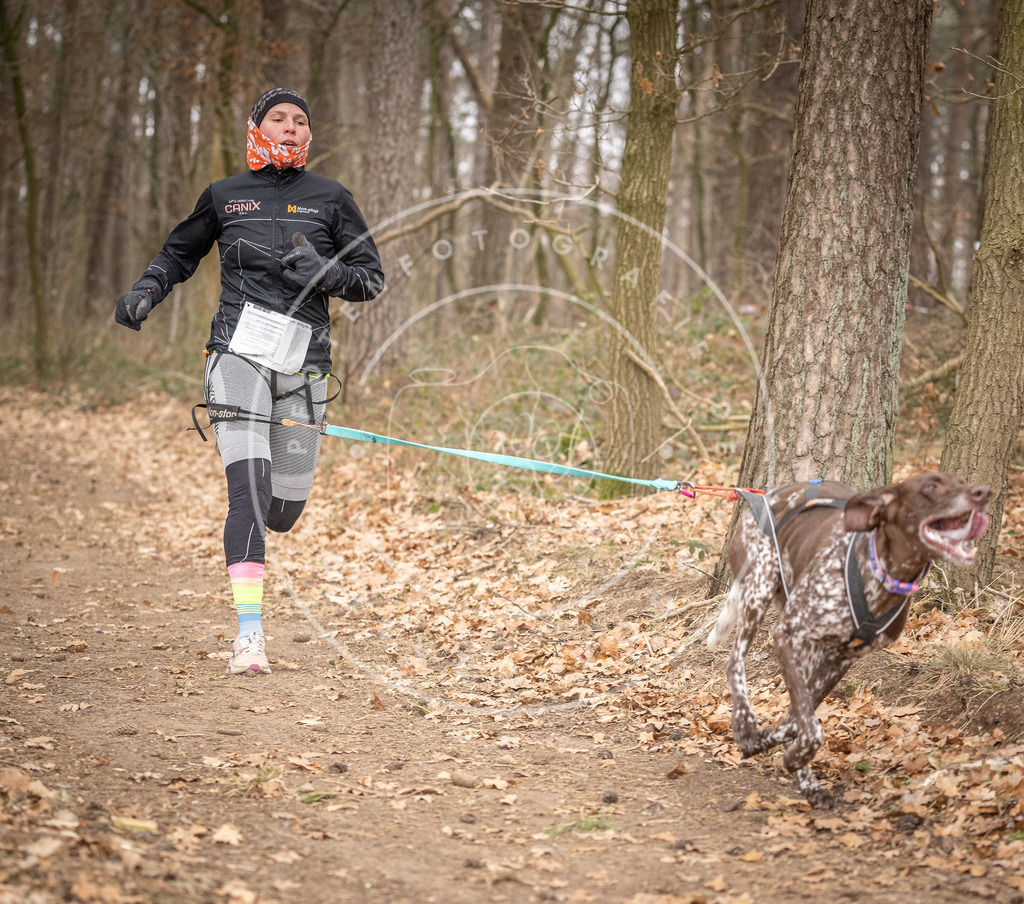 Pfotenfotografie_DV3A7601 | Hundefotografie, Tierfotograf, Pfotenfotografie, Fotoshooting Hund, Hunde Portrait, Hundesport, Hundeportraits, Heideshooting, Hunde, Sportfotograf, Hundefotograf, Turnierhundsport, THS,  - Realisiert mit Pictrs.com