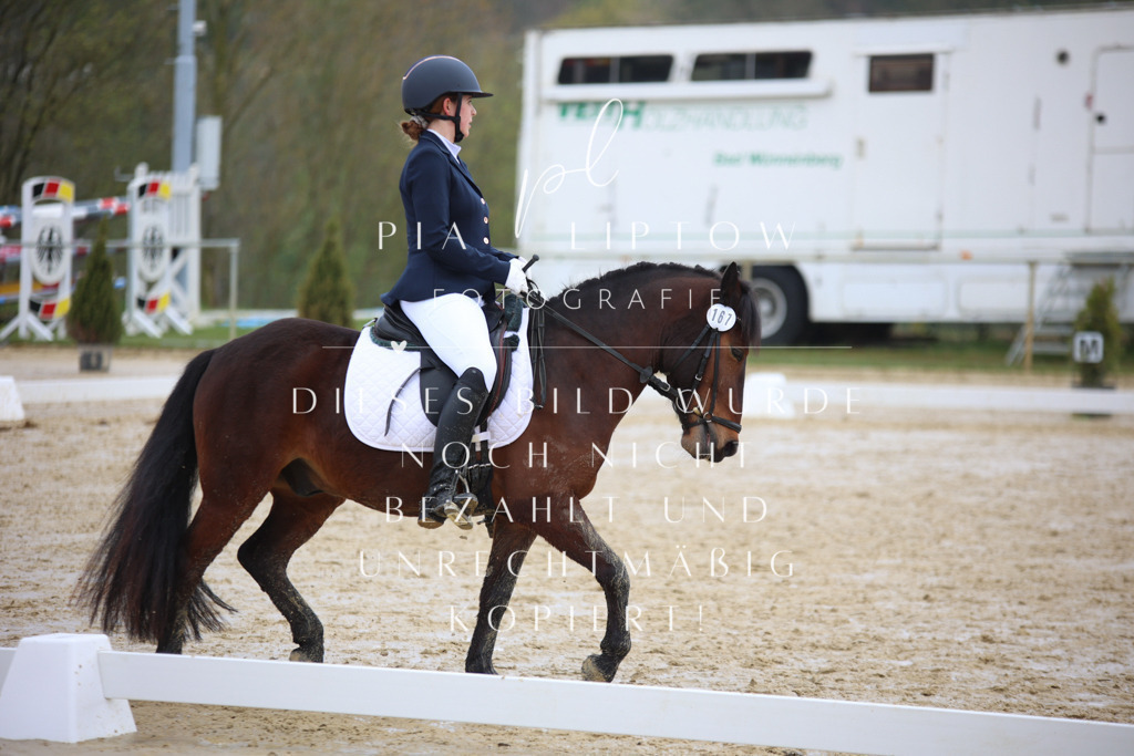 IMGT3934 | pl-fotografie