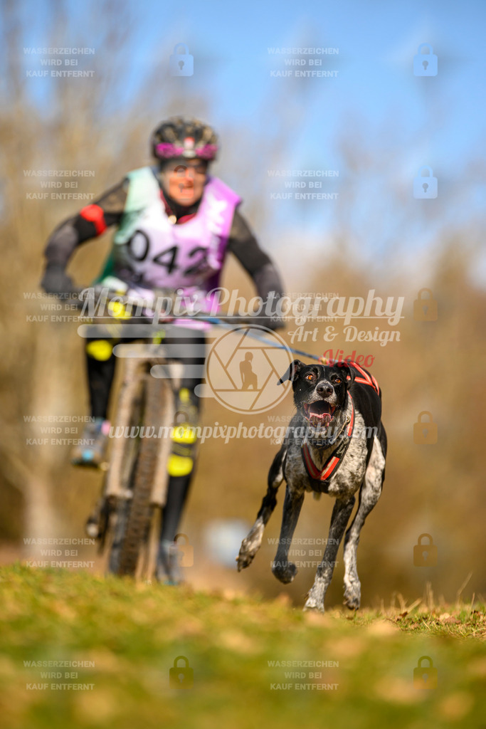 MompixPhotography_10Schwabentrail2026_SO_Bike-19 | PayLife