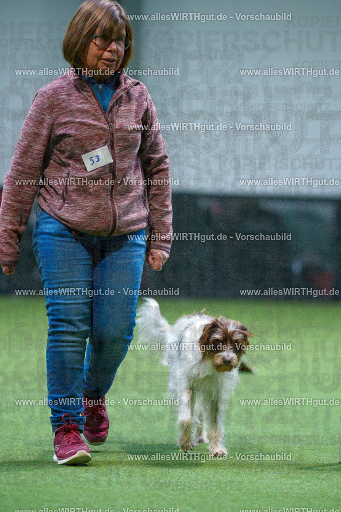 7R502238 | Professionelle Tierfotografie in Mönchengladbach von Daniel Wirth (allesWIRTHgut). Liebevolle & natürliche Bilder von Hunden & Katzen für unvergessliche Erinnerungen.