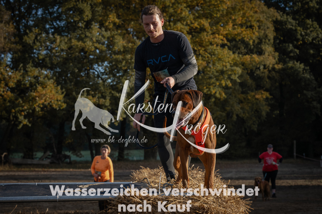 0950_ZZ95080 | kk-dogfotos