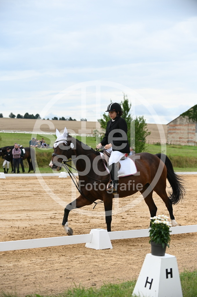 DSC_5658 | sattelsport - Realisiert mit Pictrs.com