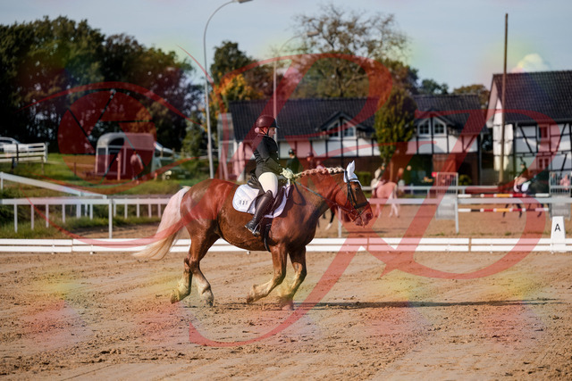 2026_10_03_Siefer-Hof_114205_Z63_23414597 | Professionelle Reitsport-, Turnier- und Eventfotografie von Robert Broda. Galerien mit ausgewählten und bearbeiteten Bildern direkt online ansehen und bestellen.