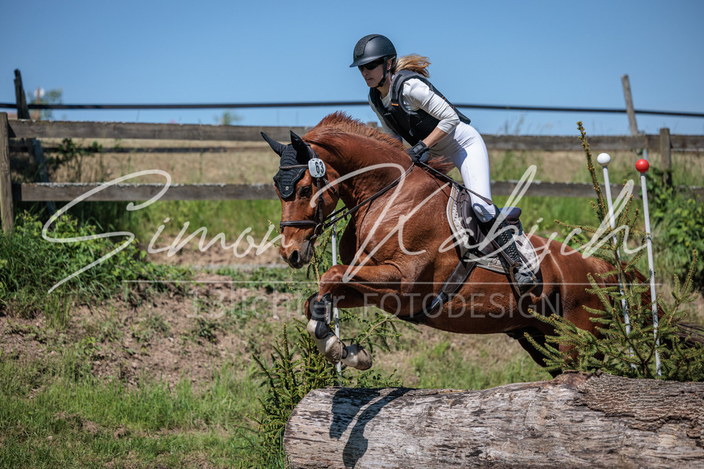 20260523-_3LI7818 | Tierfotografie Pferde, Hunde, Katzen, Haustiere.
Turnierfotografie Reitturniere, Reiten, Springreiten, Dressur in Hanau, dem Main-Kinzig-Kreis und dem Rhein-Main- Gebiet um Frankfurt