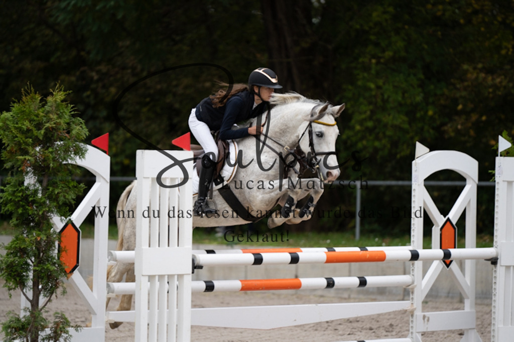 A7V00054 | Turnier/Reitfotograf