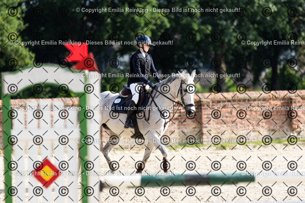 CL5A6155 | Emilia Reinking Fotografie - Realisiert mit Pictrs.com