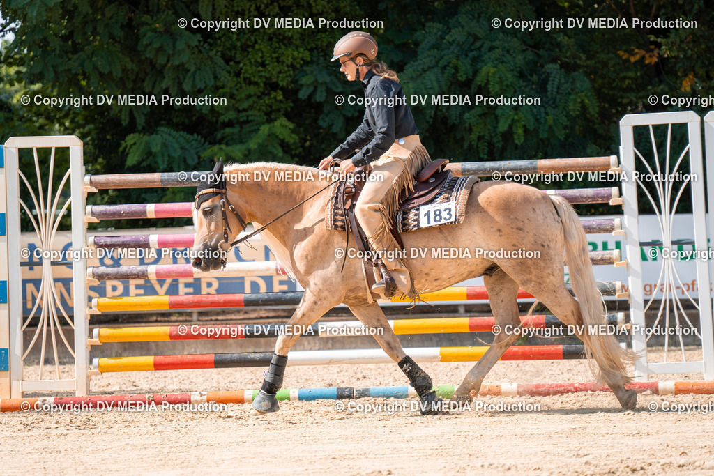 ZH100310 | dv-media-shop - Realisiert mit Pictrs.com