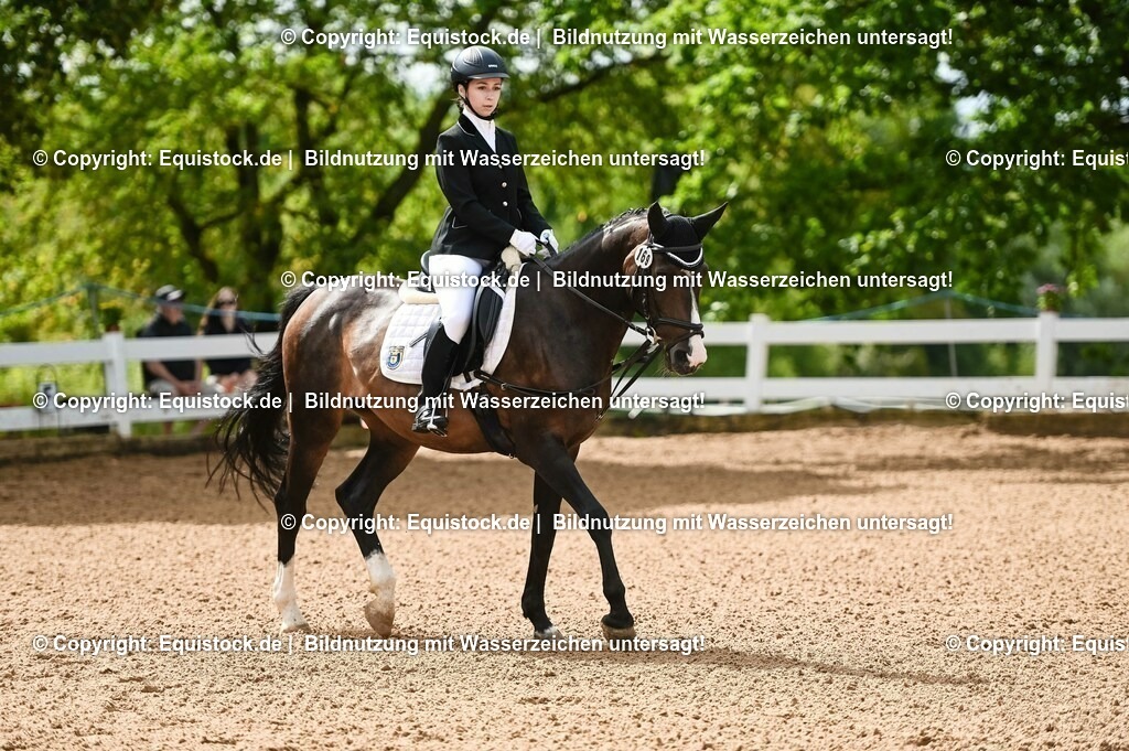 20230716_10-1_Reiter-WB Schritt - Trab - Galopp_0119 | equistock