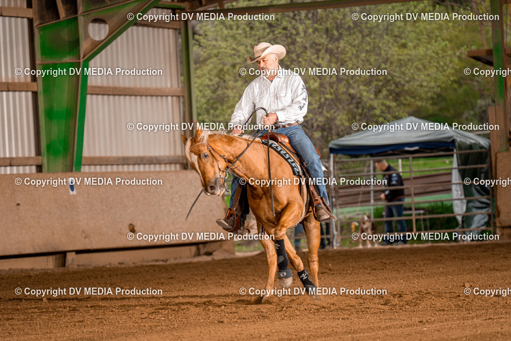 BA301276 | dv-media-shop - Realisiert mit Pictrs.com