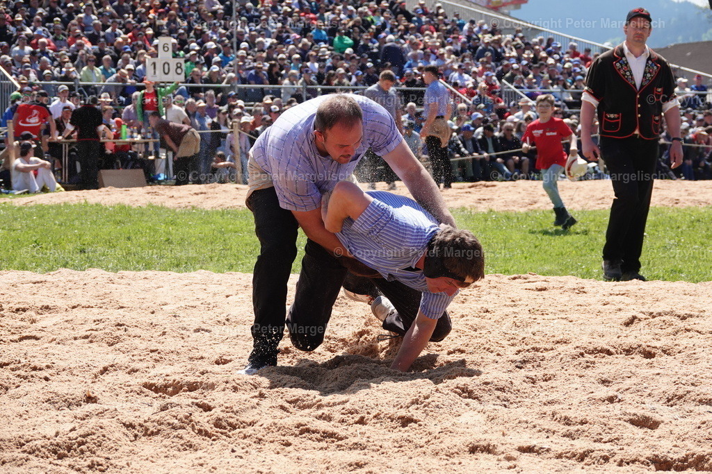 DSC00986 | Schwingen - Realisiert mit Pictrs.com